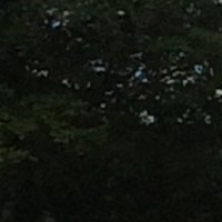 Tim atherton (@tathersmtb23) 's Twitter Profile