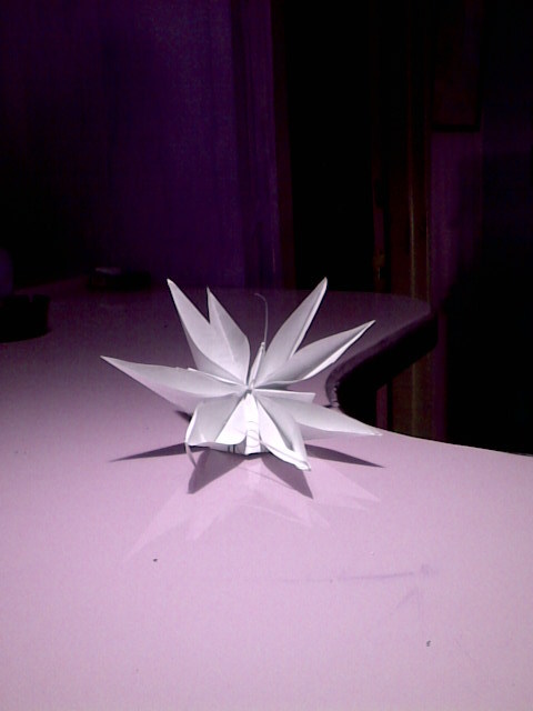 asavvikitty's profile picture. too funny for words in several languages with fire breath and cat psyche