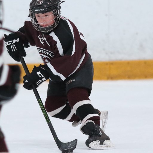 Attorney/former US Marine/ Executive Producer/ beer league hockey player/ DearMoonCrew hopeful