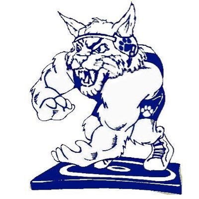 TheWoodWildcats Profile Picture