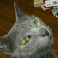 ttm-skmt (@ttmskmt) 's Twitter Profile