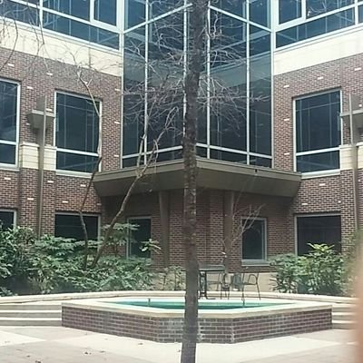 downForBrown1's profile picture. Money never sleeps.