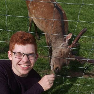 mjdeburca's profile picture. 