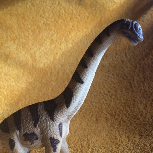 My name is Bruce and I am a Brachiosaurus.