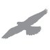 Conserve Wildlife NJ (@wildlifenj) Twitter profile photo Conserve Wildlife NJ (@wildlifenj) Twitter profile photo