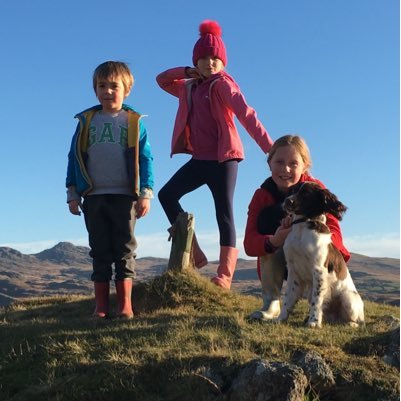 DAVIDMESSENGER2's profile picture. 