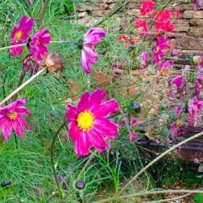 Annielparsons's profile picture. 