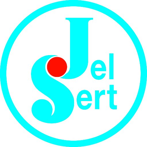The Jel Sert Company
