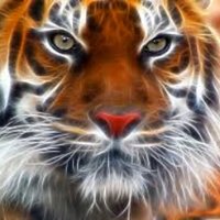 SGT HARRELL MS (@sgt_harrellms) 's Twitter Profile