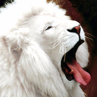 steezy_cole6's profile picture. live your life in the right way 👍🤛