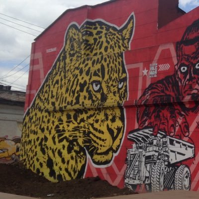 perrin_laure's profile picture. 