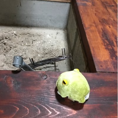 kuchinashi3's profile picture. 