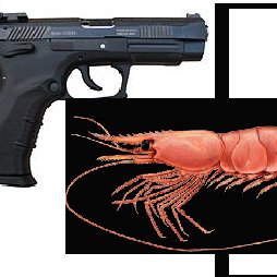 PISTOLSHRIMP100's profile picture. Upcoming Bedford based pop punk trio, hpoing to win the world cup!