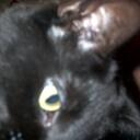 Carrie OConnor - @CarrieDee78 - Twitter