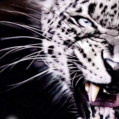 305vxvxvx1's profile picture. 