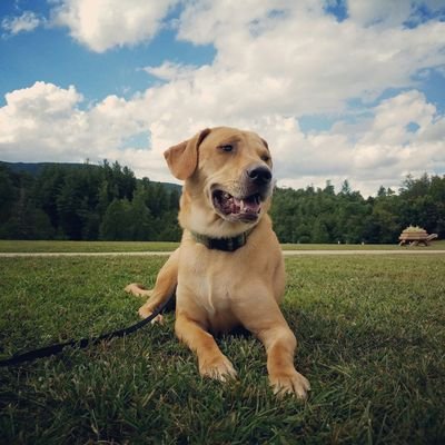 panamanancy's profile picture. Mom of two, baker, Gator. Not much of a tweeter. Views are my own.