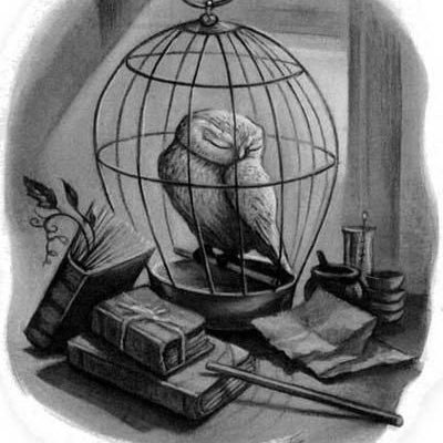 Mrs_D_classroom's profile picture. “As human beings,our job in life is to help people realize how rare & valuable each one of us really is,that each of us has something that no one else has”-F.R