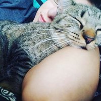 Beth Peralta (@peraltabeth171) 's Twitter Profile