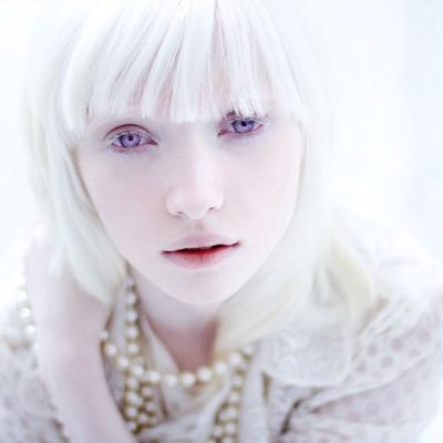 A sassy albino girl who loves dark games. Daughter of Griddlebone and Macavity || #CatsRP OCHuman!AU