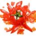 BigBoyTomato (@bigboytomato) Twitter profile photo BigBoyTomato (@bigboytomato) Twitter profile photo