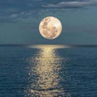 HATİCE MUTLU (@darkwichh) Twitter profile photo