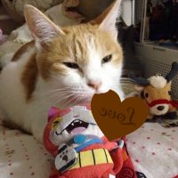 直海朔夜@Springaldの398松の次は夏のサンクリのサ-18bだから冷やかしに来なよ。 (@syanawaka) Twitter profile photo