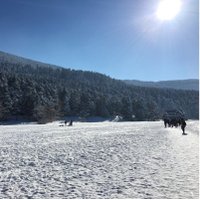 nesibe akmanşen (@nakmansen) 's Twitter Profile