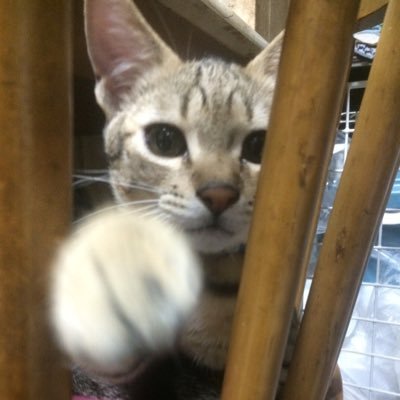 那飴斗さんのプロフィール画像