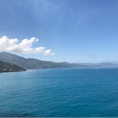 precisionpool's profile picture. 