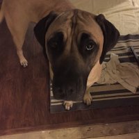 Splink (@red2of3splink) 's Twitter Profile
