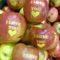 ☆yuko☆ (@icecream_summer) 's Twitter Profile