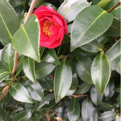 happypinksky's profile picture. リハビリしつつ、生活してます。ドクターストップ解除されるも、束の間、再度ドクターストップかかり、一生物の持病となりました。通院、服薬、訪問看護は必須。こども6歳！