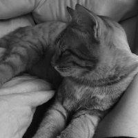 ram (@rinbme) Twitter profile photo