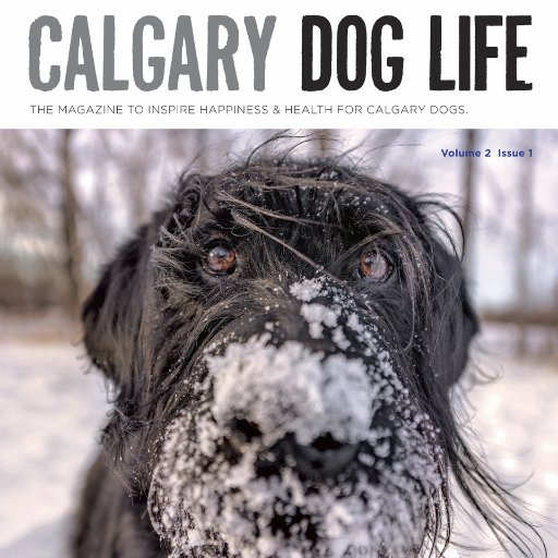 Official site of Calgary Dog Life. 
Magazine and Off-Leash Park Guide Publications.
