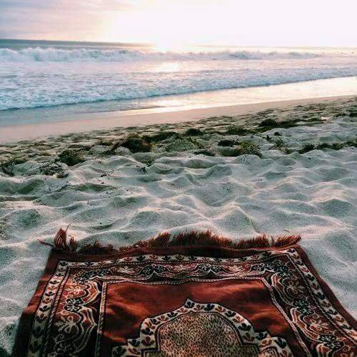 mohamed48597178's profile picture. فى حب بلدى ليا قصايد