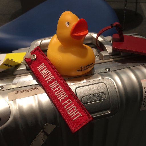 King_of_Travel's profile picture. I love to travel around the world, can't wait to see more 😋