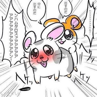 こうしくん Renqrd Twitter こうしくん Renqrd Twitter
