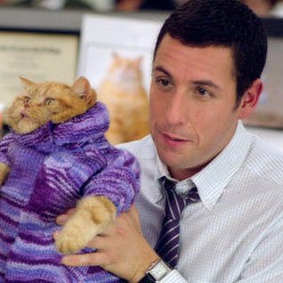 moviefeast's profile picture. Movie Mad. Fan of Sandler, Soccer & Old Spice.