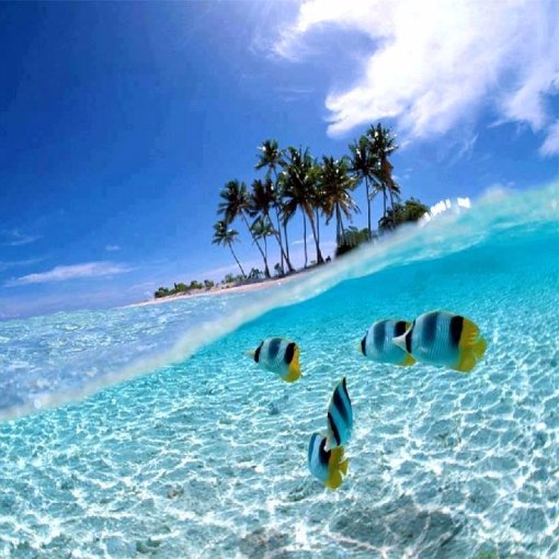 Gururlu_Oypli's profile picture. ÖYP'li Araştırma Görevlisi