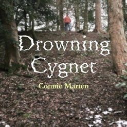 A #book about a lost soul in a #village of #secrets and #lies. #Romance #comingofage #growingup #infidelity #affairs #gaslighting #mentalhealth #LakeDistrict