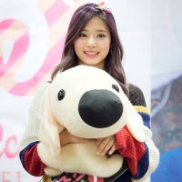 tzuyu (@twicetzyu99) 's Twitter Profile