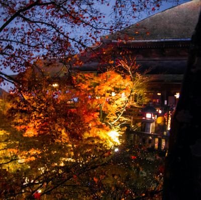 tksb634's profile picture. 女子大生。成人済み。