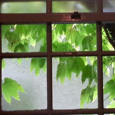 つっちーさんのプロフィール画像