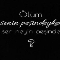 mevt (@biri1sadece) 's Twitter Profile