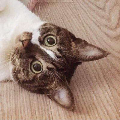 aaa_mean's profile picture. ㅠ🙄