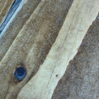 Jim Roche (@rochejim) 's Twitter Profile