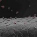 Sacanna Group (@sacannagroup) Twitter profile photo Sacanna Group (@sacannagroup) Twitter profile photo