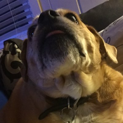 plumberbobo697's profile picture. Jersey plumber.  love. riding my motorcycle .  enjoy summers.  life