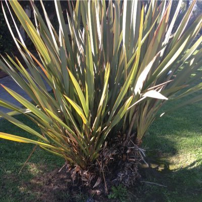 ECo installs gardens with drought-tolerant and edible plants; teaches Farm Ed. and sustainability; grows for farm to table.