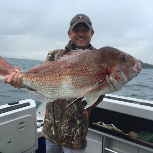 Founder LayAway Travel, always trawling for the next catch. Life is better with family & the ocean. Former COO Fisher & Paykel.